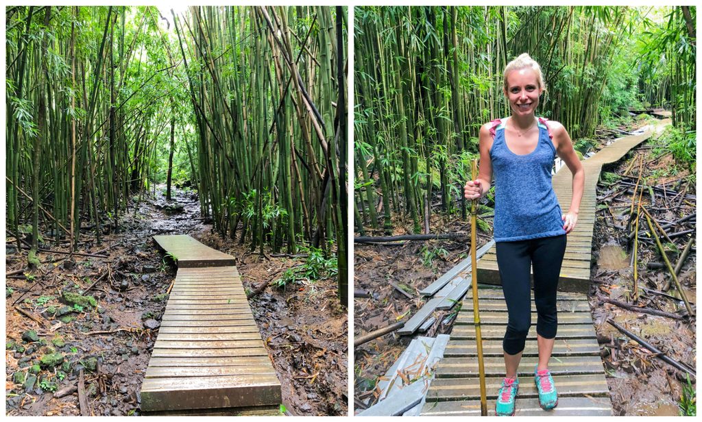 Trails in bamboo forest on Pipiwai Trail