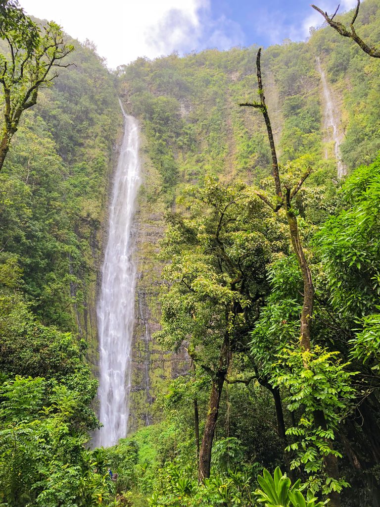 A view of Waimoku Falls on Pipiwai Trail