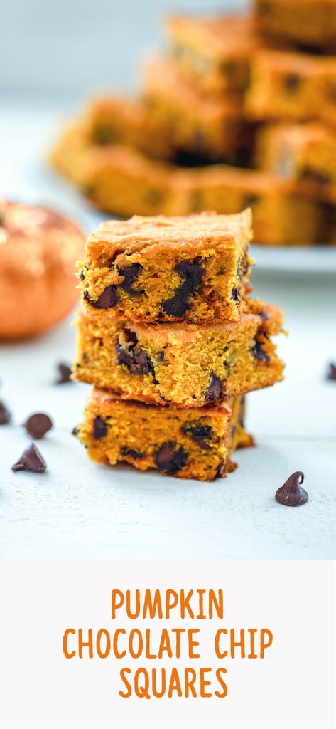 Pumpkin Chocolate Chip Squares -- If you're looking for a go-to pumpkin recipe you'll make over and over, these pumpkin chocolate chip squares are it. I have yet to met a person who doesn't rave about these pumpkin bars every time I make them! | wearenotmartha.com