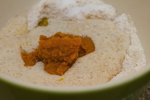 Pumpkin Crust Flour Pumpkin Puree.jpg