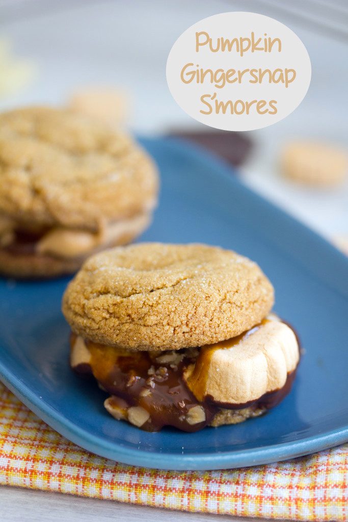 Pumpkin Gingersnap S'mores -- Pumpkin gingersnaps, pumpkin spice marshmallows, chocolate, caramel, and toffee make for the perfect fall s'more! | wearenotmartha.com