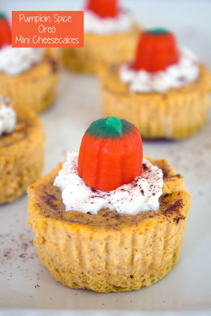 Head-on view of a pumpkin spice Oreo mini cheesecake with whipped cream and pumpkin candy topper with more mini cheesecakes in the background and recipe title at top