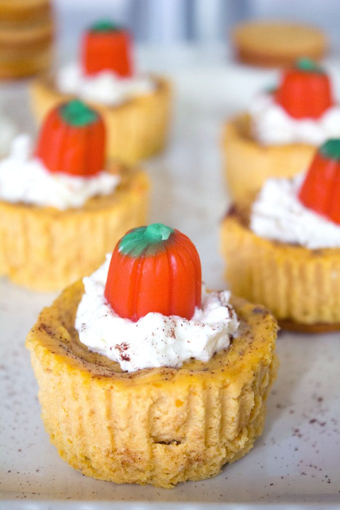 View of multiple pumpkin spice Oreo mini cheesecakes with whipped cream and pumpkin candy toppers on a white platter