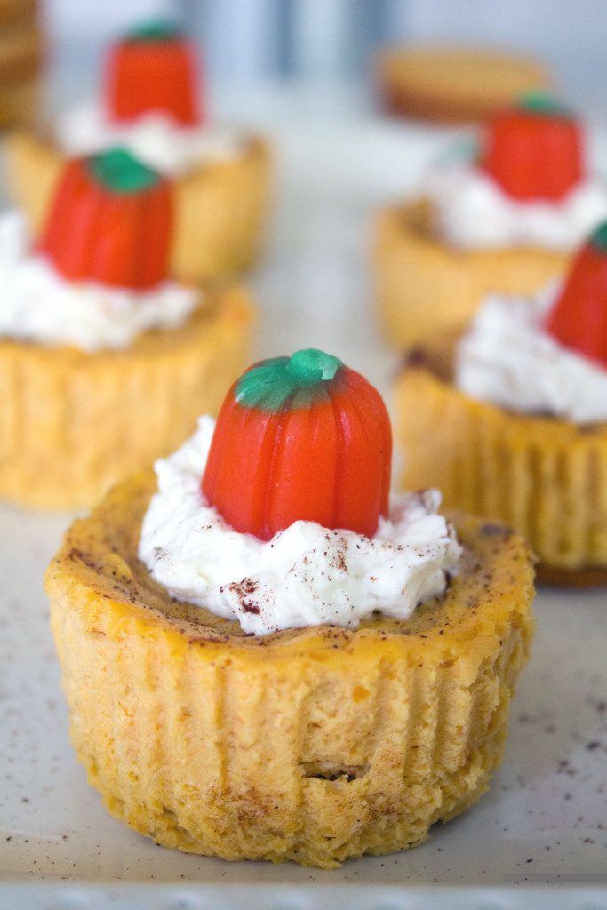 Head-on closeup view of pumpkin spice Oreo mini cheesecakes with whipped cream and pumpkin candy topper with more mini cheesecakes in the background