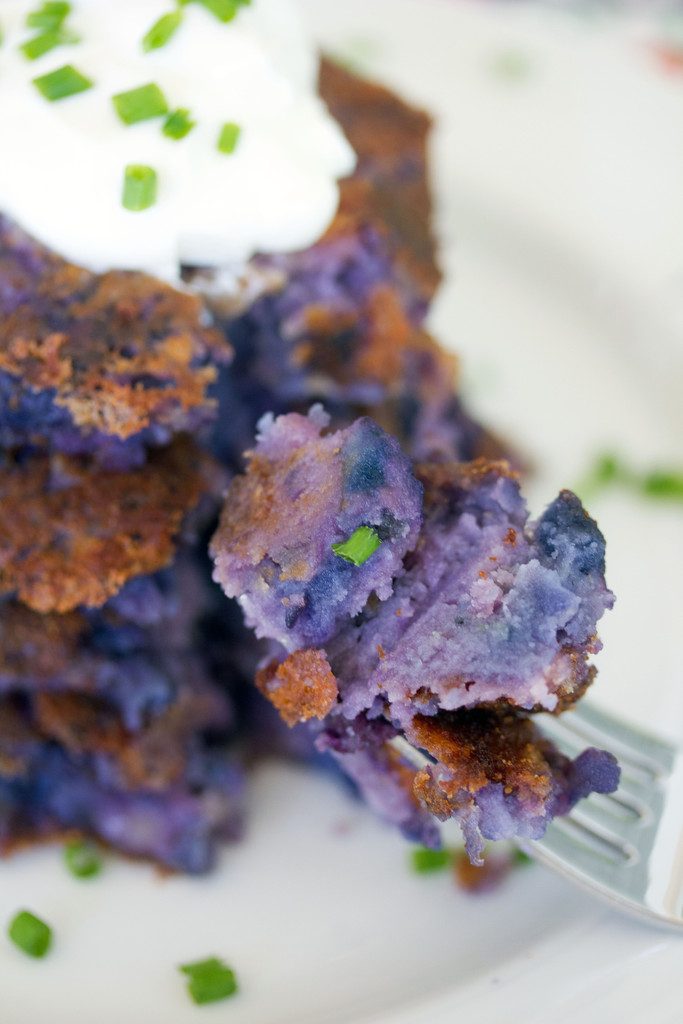 Closeup view of a fork holding a bite of purple mashed potato pancakes