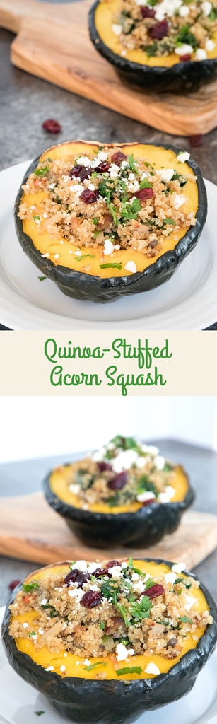 Quinoa-Stuffed Acorn Squash -- The perfect healthy dinner for the holiday season and beyond. Tender acorn squash with a delicious quinoa and mushroom filling topped with feta cheese is filling and incredibly satisfying | wearenotmartha.com