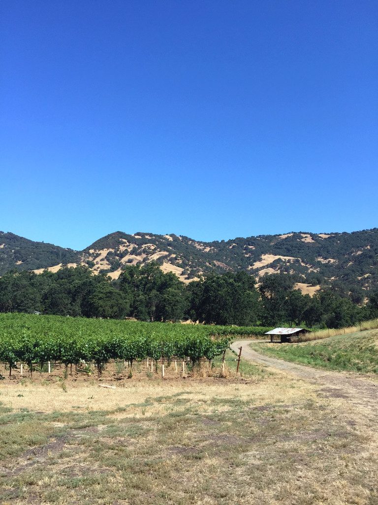 Robert Irwin Lamb Ranch | wearenotmartha.com