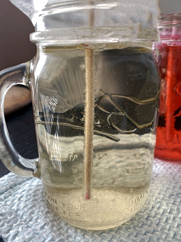 Rock candy crystals forming in jar after 1 day