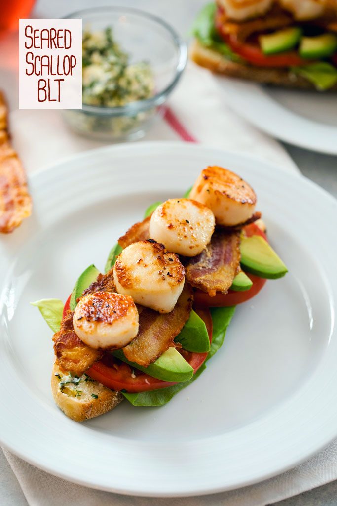 Bird's eye view of seared scallop BLT, crispy bread topped with herbed butter, lettuce, tomatoes, avocado, bacon, and seared scallops on a white plate, with herbed butter in the background and "Seared Scallop BLT" text at the top