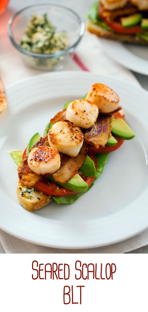Seared Scallop BLT -- If you love the classic BLT sandwich, you need to try one topped with herbed butter, avocado, and simple seared scallops | wearenotmartha.com #scallops #blt #bacon #avocado #sandwich #lunch