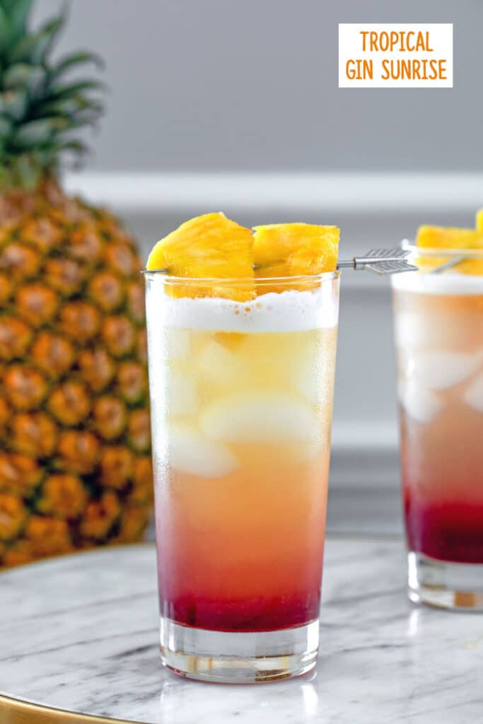 Gin and Juice Cocktail Recipe