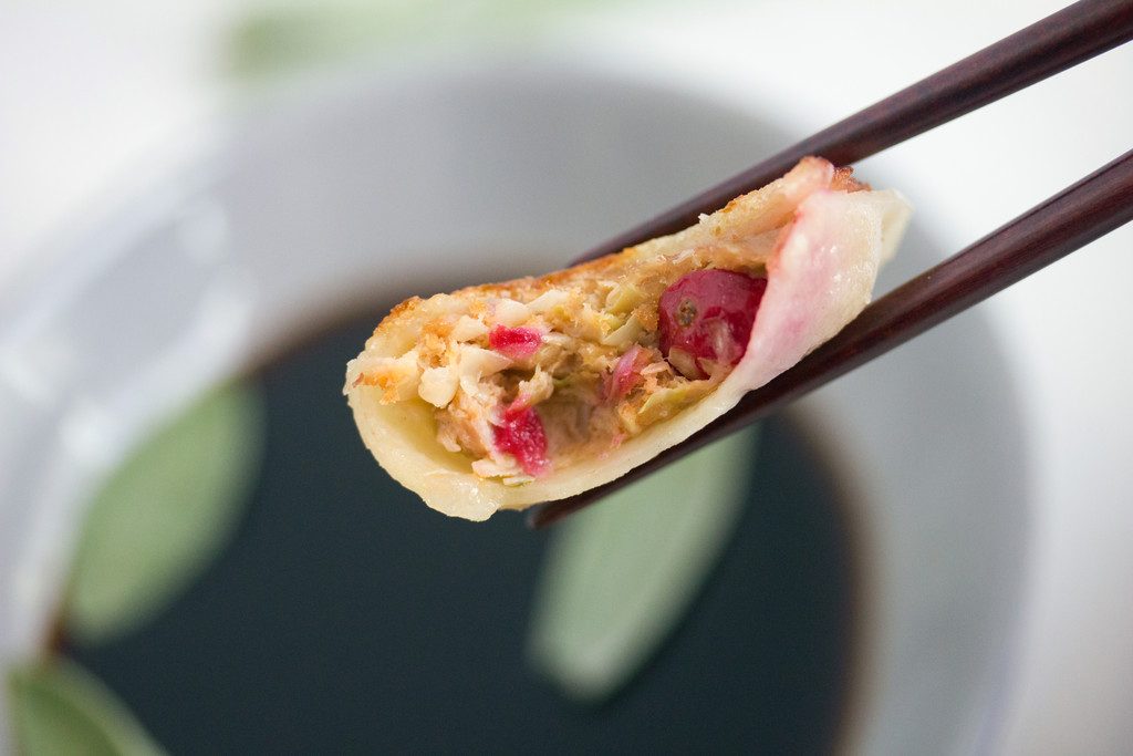 Turkey Cranberry Chinese Dumplings -- A fall twist on the traditional dumpling recipe! | wearenotmartha.com