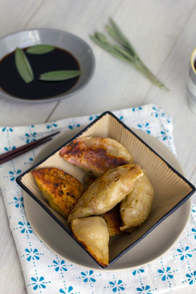 Turkey Cranberry Chinese Dumplings -- A fall twist on the traditional dumpling recipe! | wearenotmartha.com