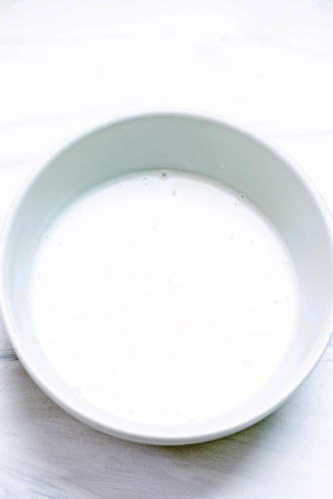 Light coconut milk in white bowl