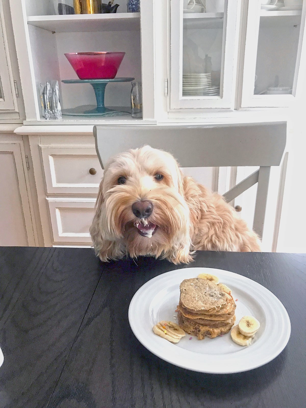 Egg, Apple, and Banana Pancakes for Dogs Recipe | We are not Martha - Can Dogs Have Honey Banana Pancakes