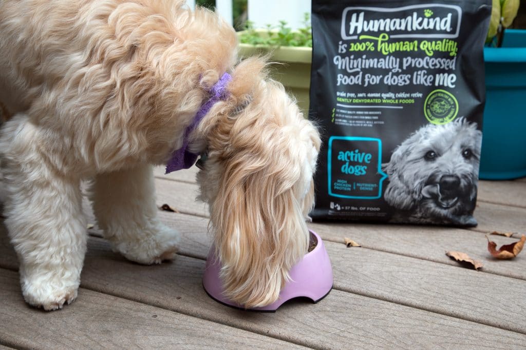 Winnie loves Humankind food for dogs | wearenotmartha.com
