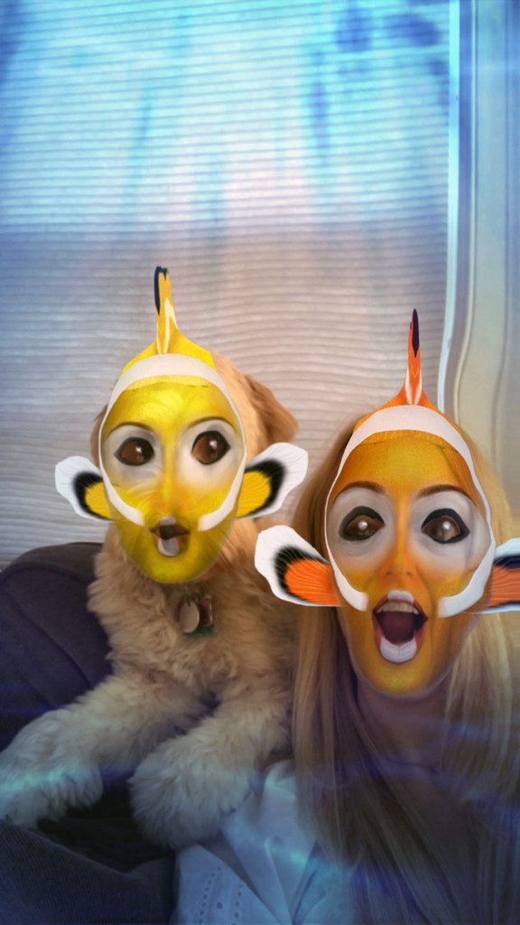 Winnie the Labradoodle Snapchat | wearenotmartha.com