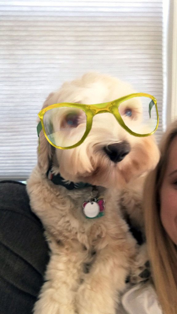 Winnie the Labradoodle Snapchat | wearenotmartha.com