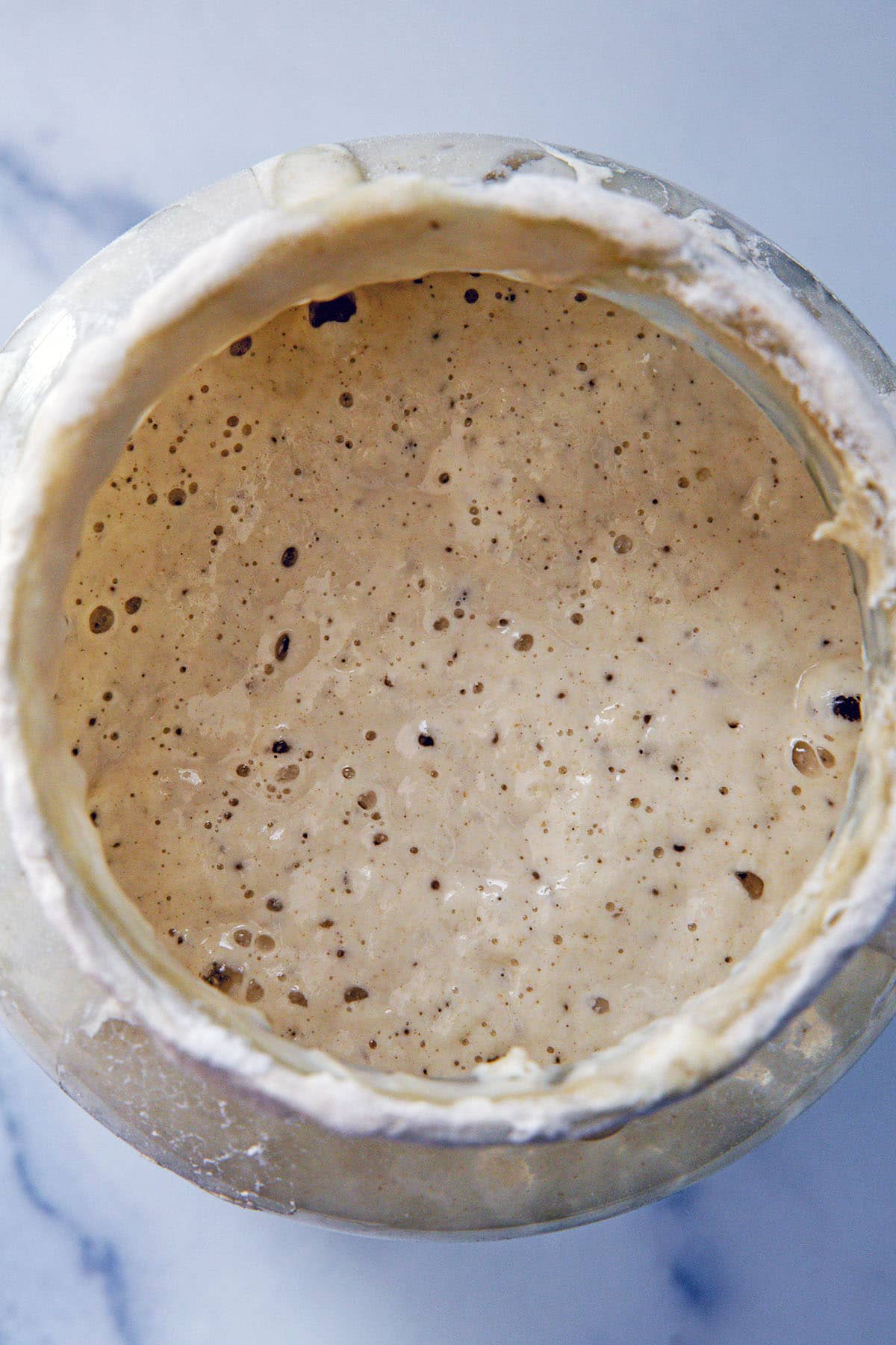Bubbly active sourdough starter.