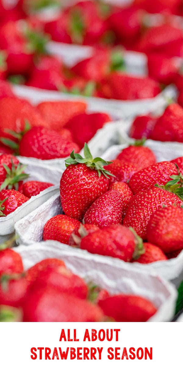 When is Strawberry Season?