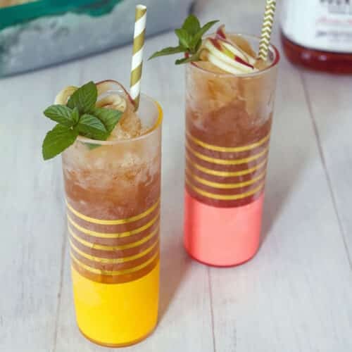 Closeup view of two glasses of apple cider bourbon slush with mint garnish.