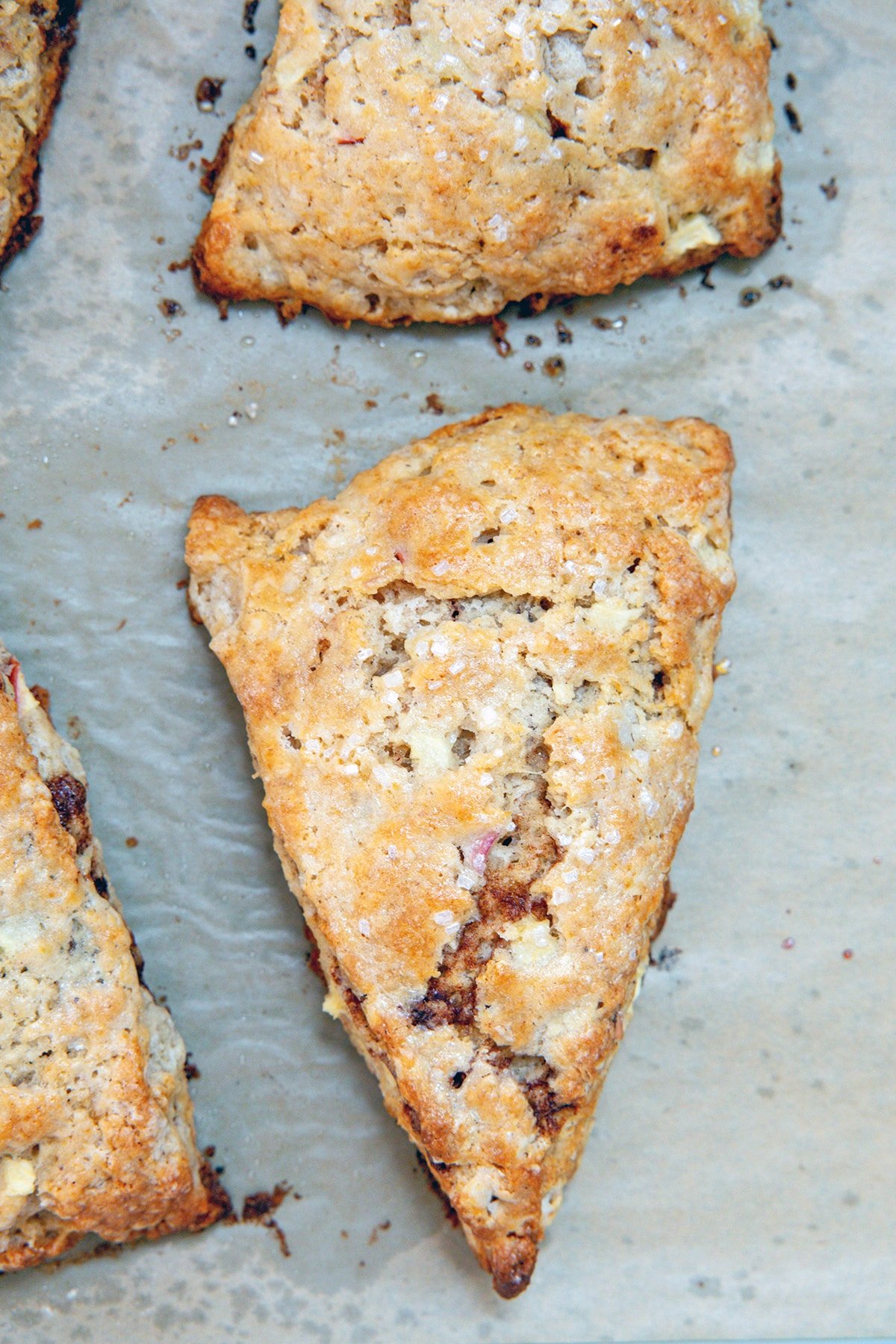 Apple cinnamon scones baked on baking sheet.