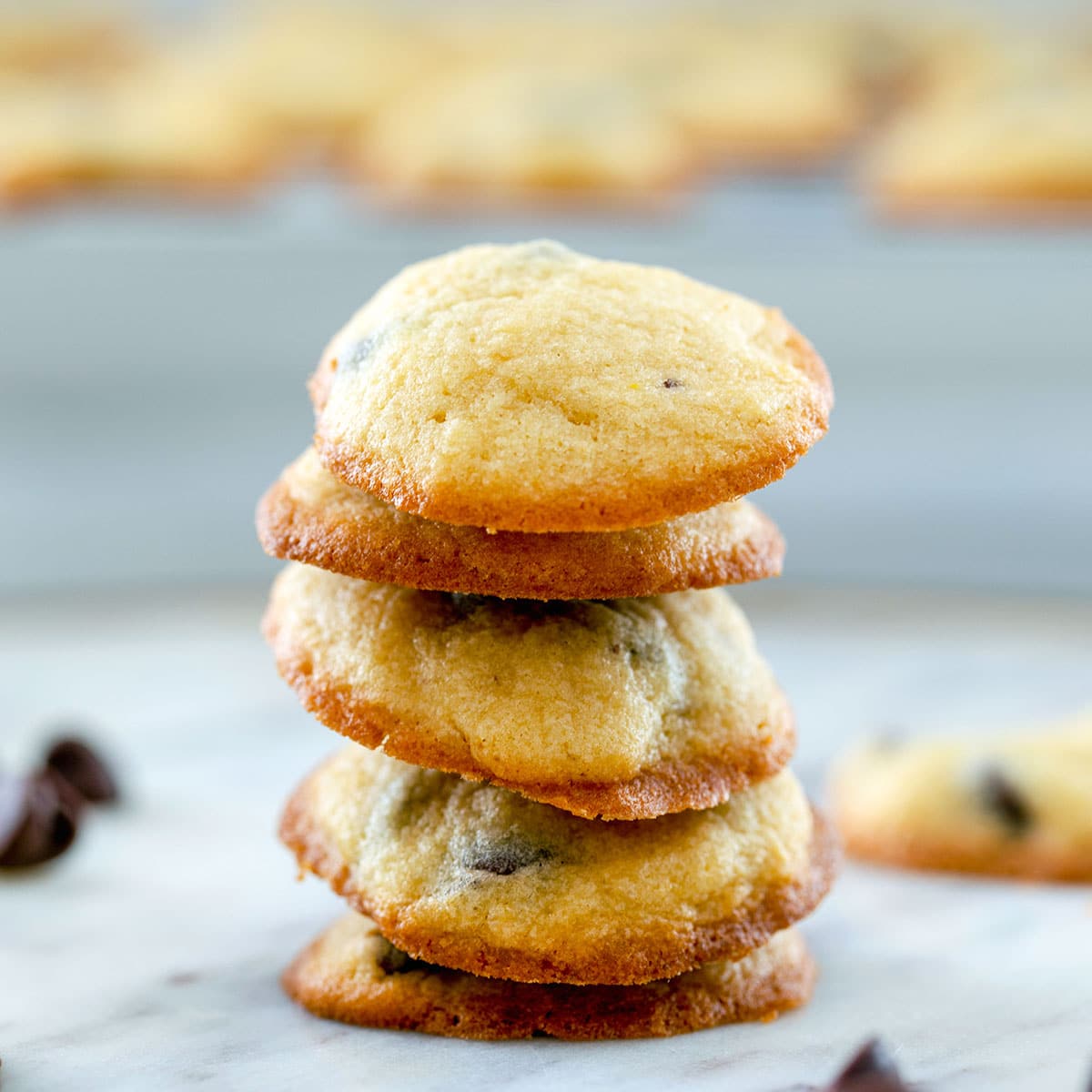 Head-on closeup view of a stack of mini chocolate chip cookies.