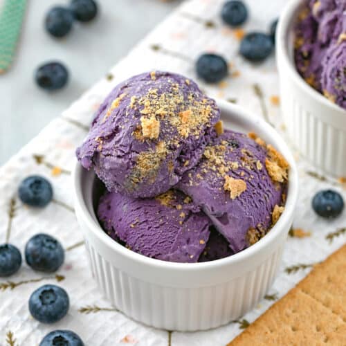 Closeup view of blueberry cheesecake ice cream in a white bowl with fresh blueberries all around.