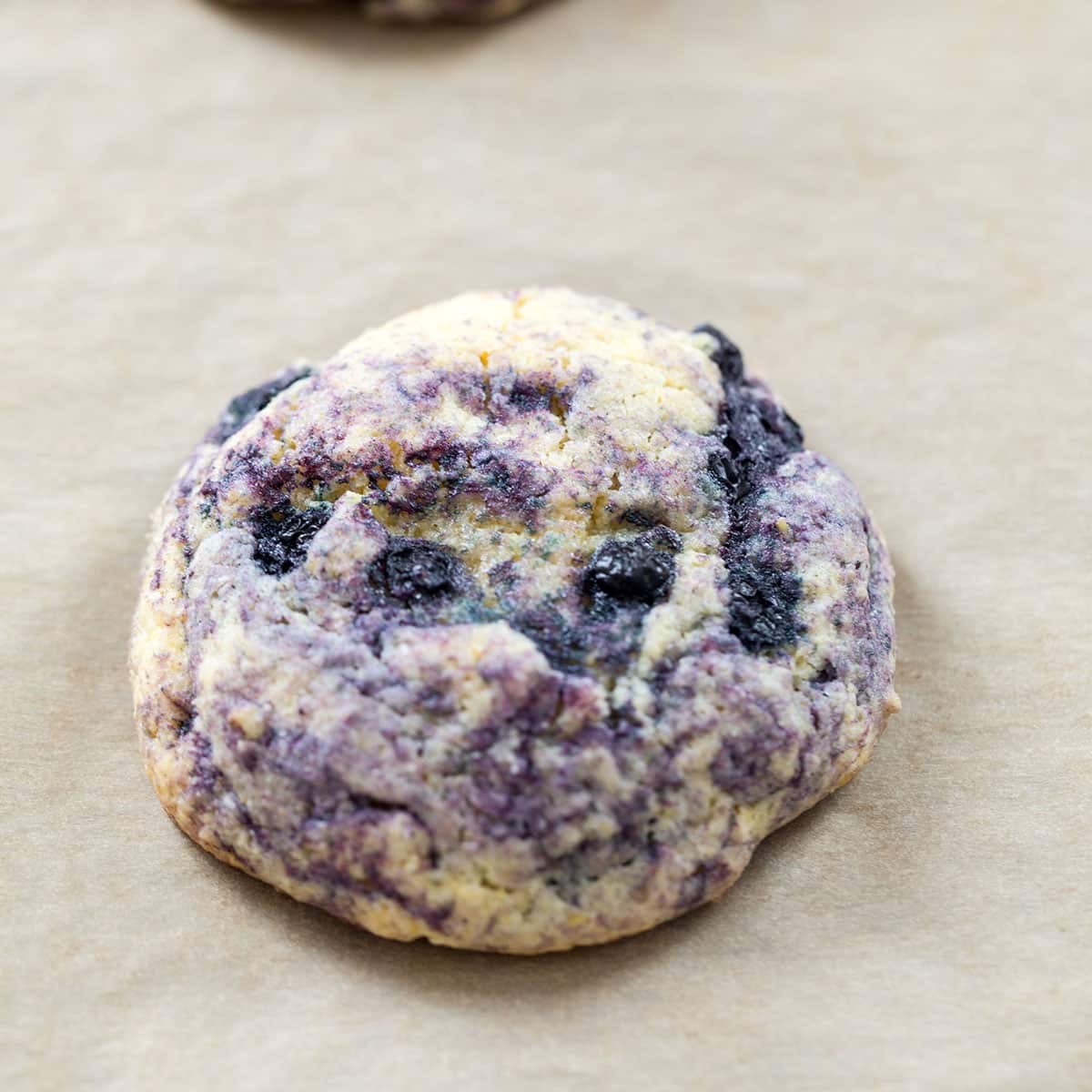 Closeup view of a blueberry corn toaster cake on parchment paper.