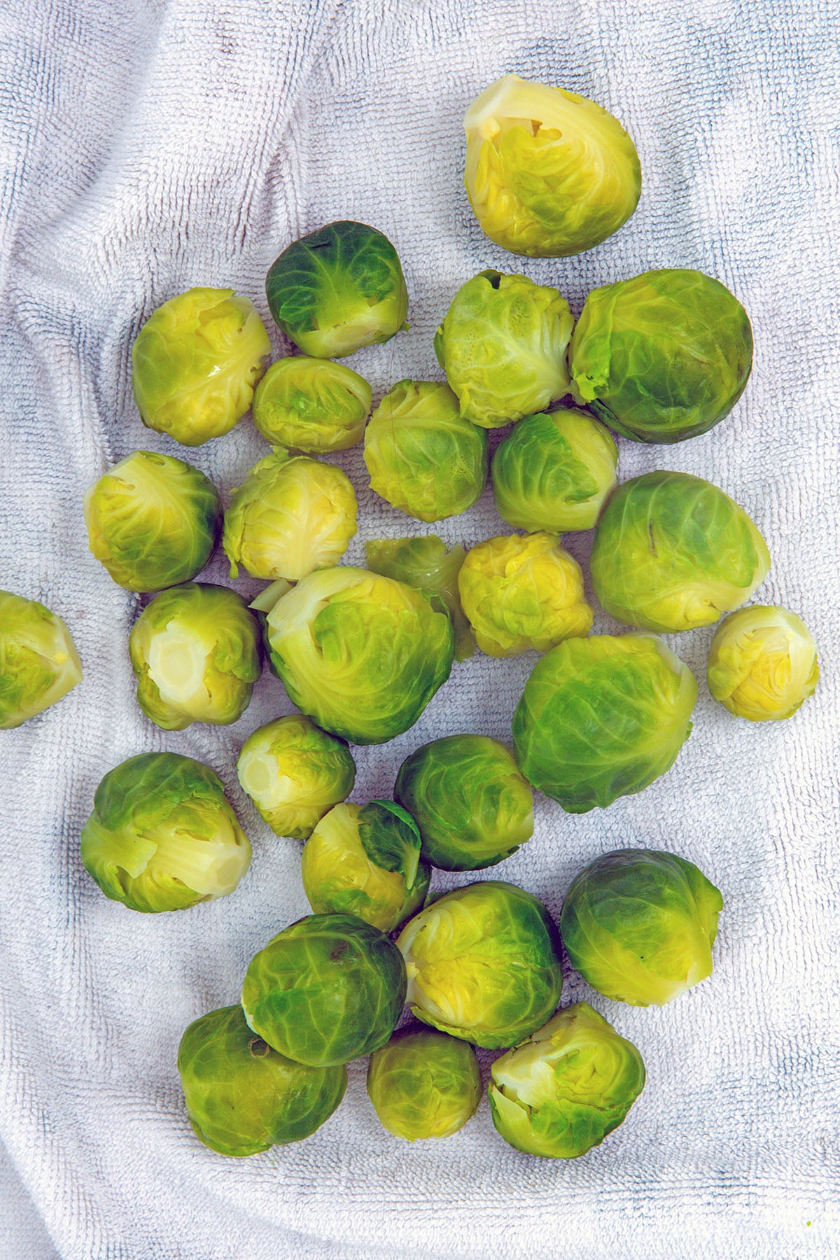 Blanched brussles sprouts on paper towel.