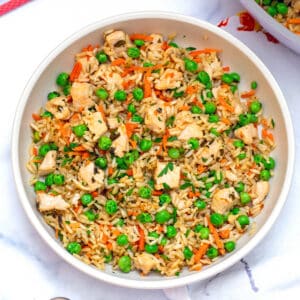 Closeup view of chicken and rice for dogs with carrots and peas.