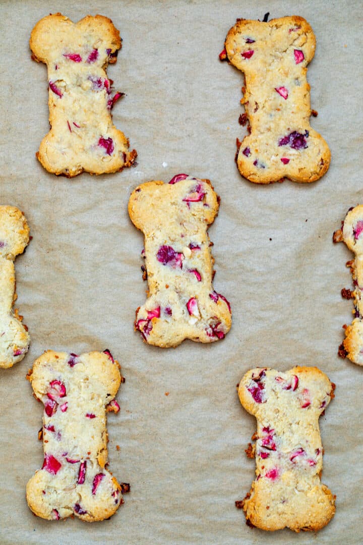 Cranberry Dog Treats Recipe We are not Martha