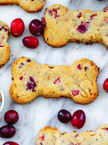 Cranberry dog treats with fresh cranberries all around.