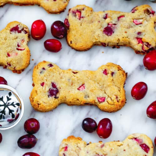 Cranberry dog treats with fresh cranberries all around.