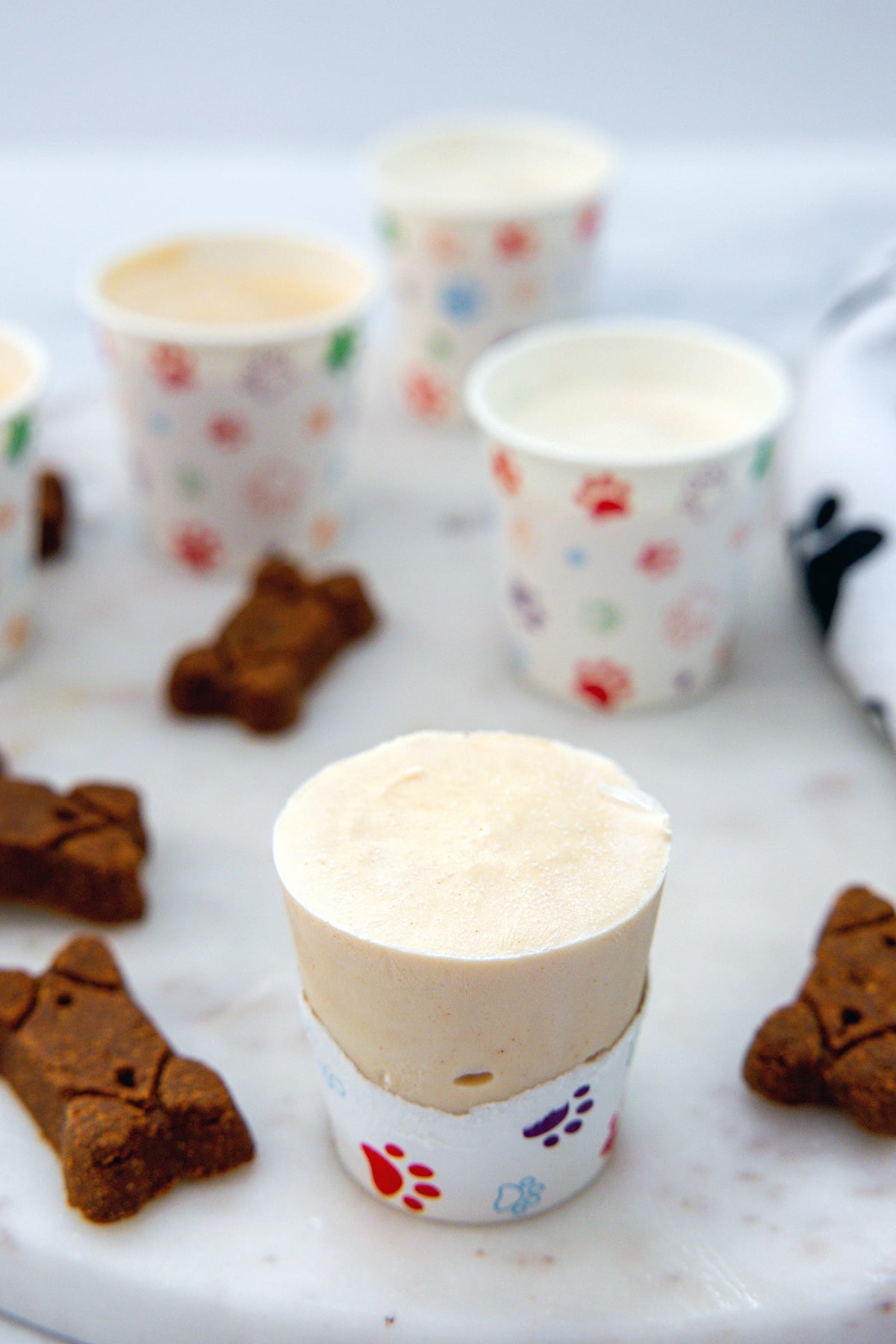 Peanut butter Frosty Paws ice cream with cup peeled away and dog bones all around.
