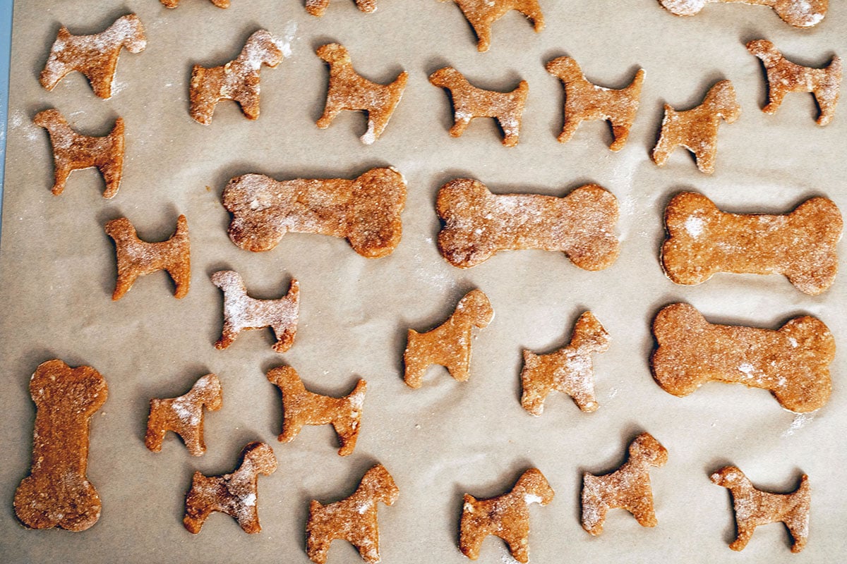 Gingerbread cookie dough cut into dogs and bone shapes on cookie sheet.