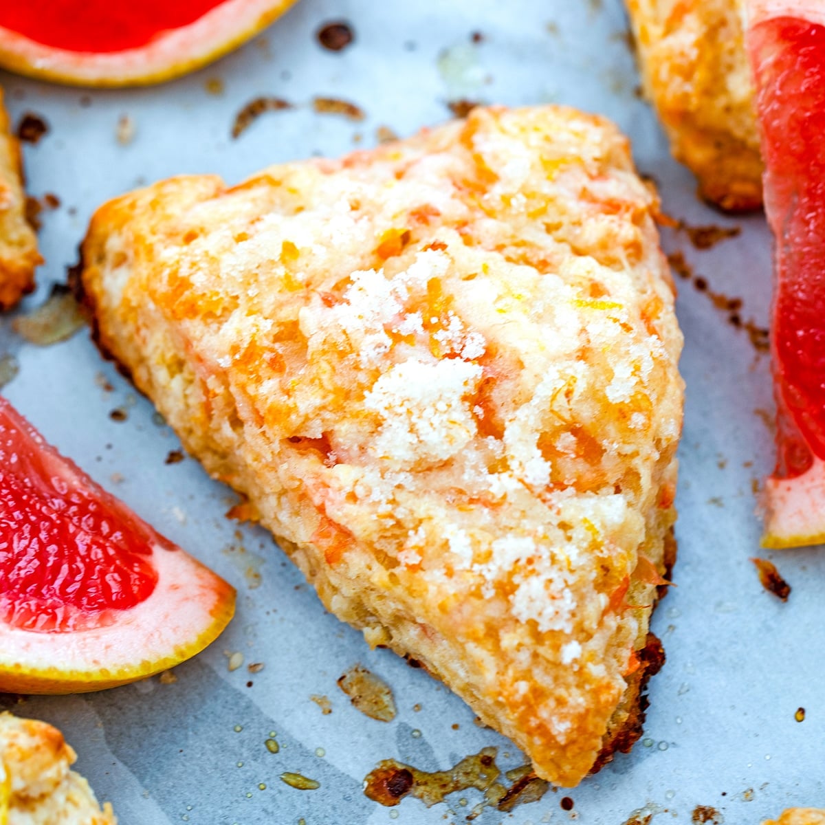Closeup view of a grapefruit scone on a baking sheet with grapefruit wedges.