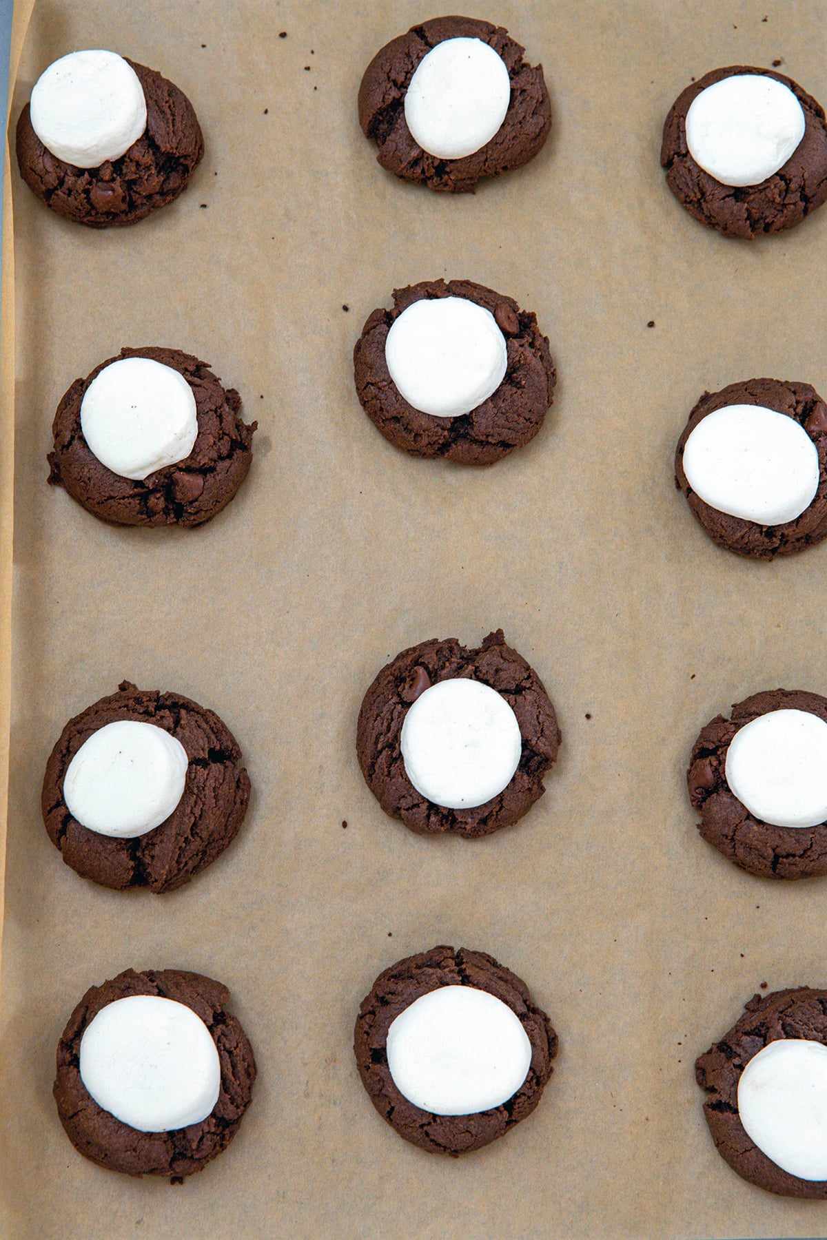 Baked chocolate cookies topped with half a marshmallow on baking sheet.
