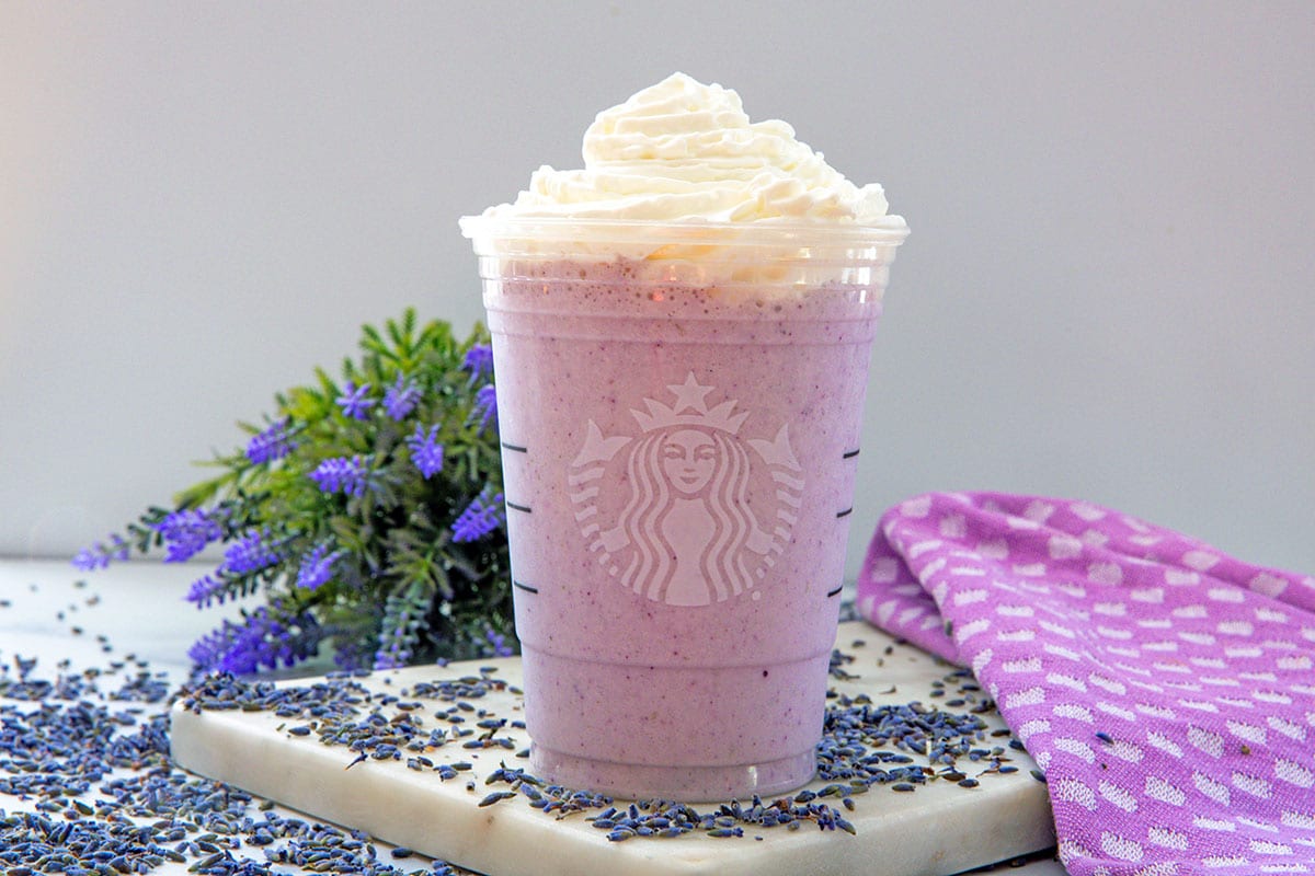 Landscape head-on view of Lavender Crème Frappuccino with dried lavender all around.