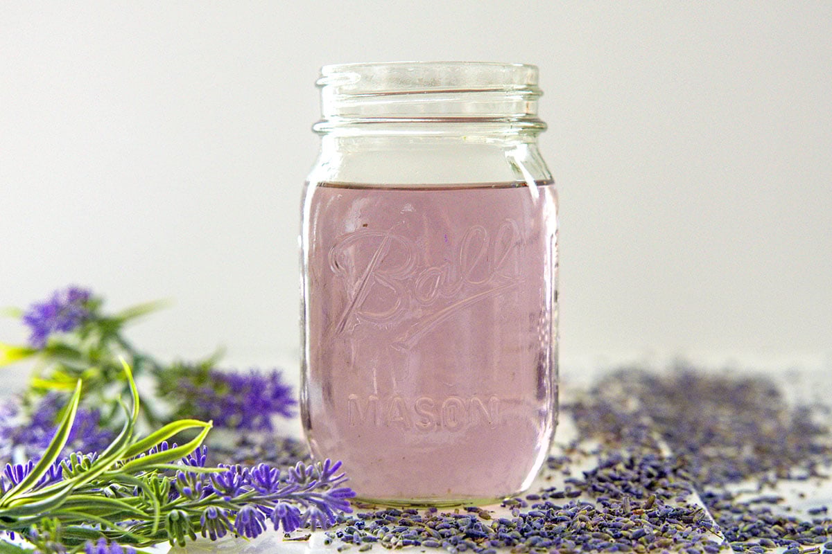 Landscape head-on view of a mason jar of lavender simple syrup with lavender flowers all around.