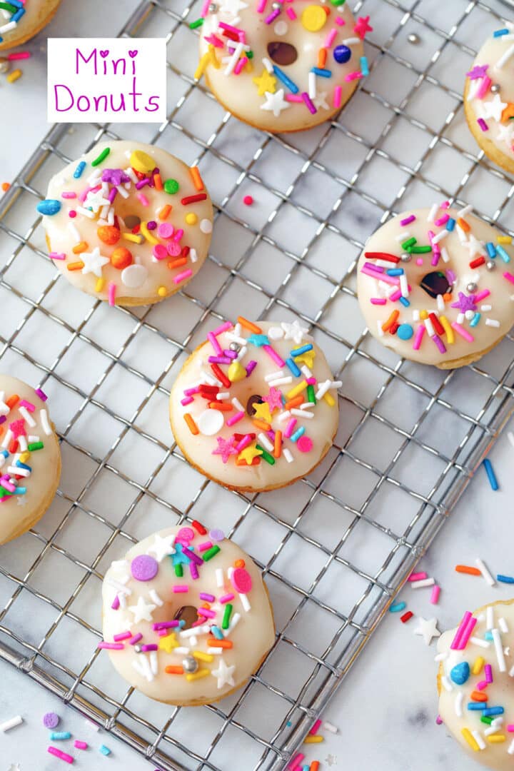 Mini Donuts Recipe We are not Martha