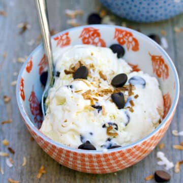 Closeup view of a bowl of Mounds ice cream with coconut and chocolate chips on top.