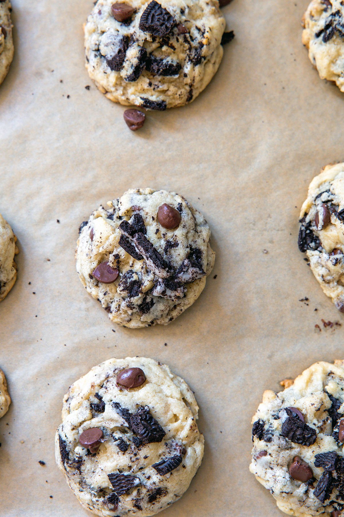 Oreo chocolate chip cookies just out of the oven on baking sheet.