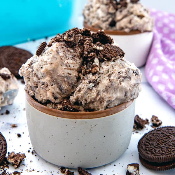 Closeup head-on view of a small bowl of Oreo ice cream.