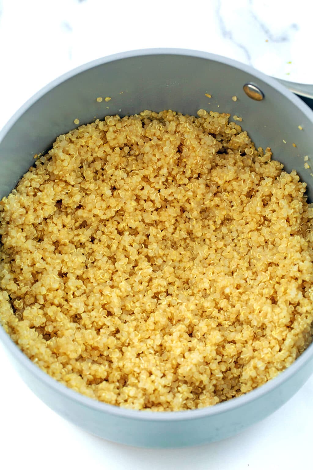 Quinoa for Dogs Recipe We are not Martha