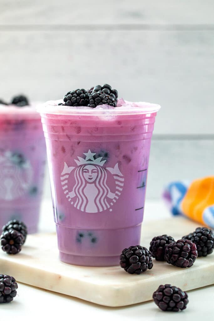 Head-on view of purple drink in a Starbucks cup with blackberries all around.