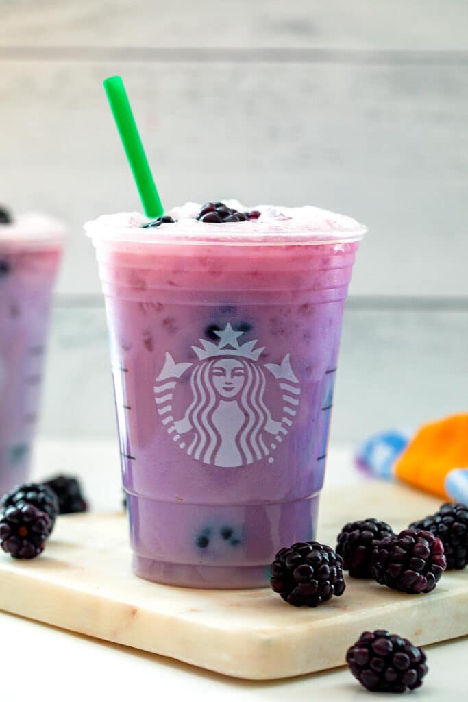 Head-on view of a Starbucks cup with purple drink and green straw with blackberries all around.