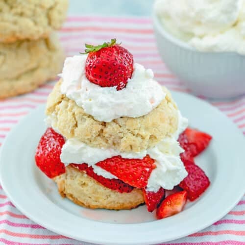 Head-on view of a strawberry shortcake made with homemade biscuits and whipped cream and fresh strawberries.