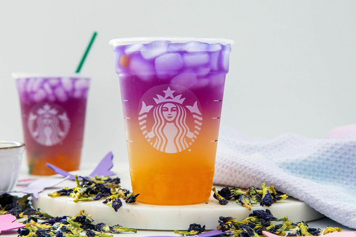 Landscape head-on view of a Tropical Butterfly Refresher in a Starbucks cup with second drink in background and dried butterfly pea flowers all around.