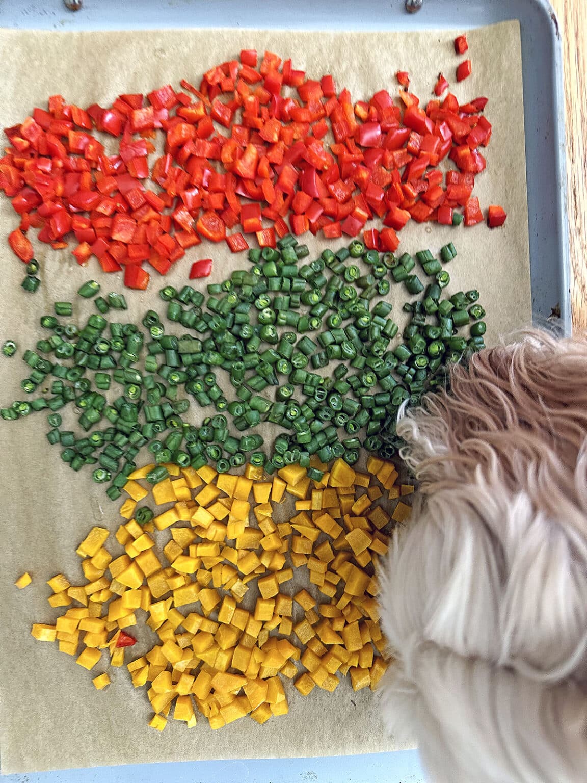 Quinoa for Dogs Recipe We are not Martha